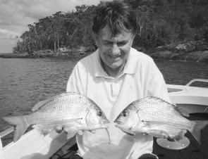 Big Port Stephens bream are aggressive and will attack surface lures and soft plastics as well as bait.